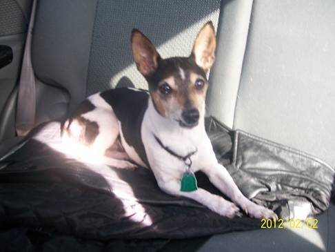 landingham1-20 percent.jpg