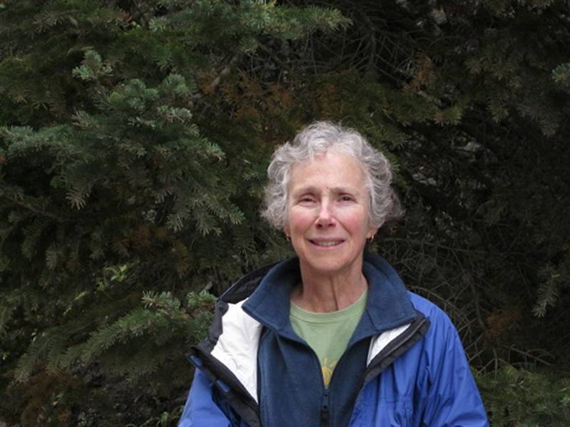 susan ward 20 percent.jpg